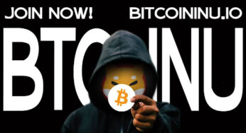 Bitcoin Inu: A Fusion of Bitcoin & Shiba Inu for Unprecedented Growth and Gains!