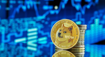 Dogecoin Millionaire Buys into the Pushd Presale While Shiba Inu Drops