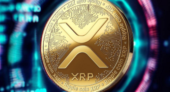 Pushd Gains Over 1,000 Presale Sign-ups in First 24 Hours. Ripple and Uniswap Drop