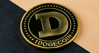 Unlocking the Power of Raffle Coin: Surging Tandem with DOGE and SHIB Success Stories