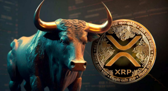 Ripple & Solana Holders Scramble for Kelexo Presale Slots, Aspiring 100X Returns