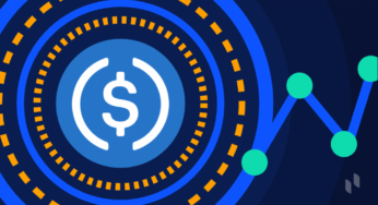 MATIC & USDC Holders Join Kelexo Lending Revolution; Expecting a Rapid Value Surge