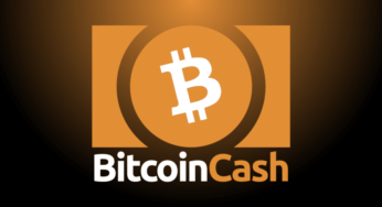 Stepping Up as a Crypto Challenger, Koala Coin Reflects BCH & GALA Weekly Performances